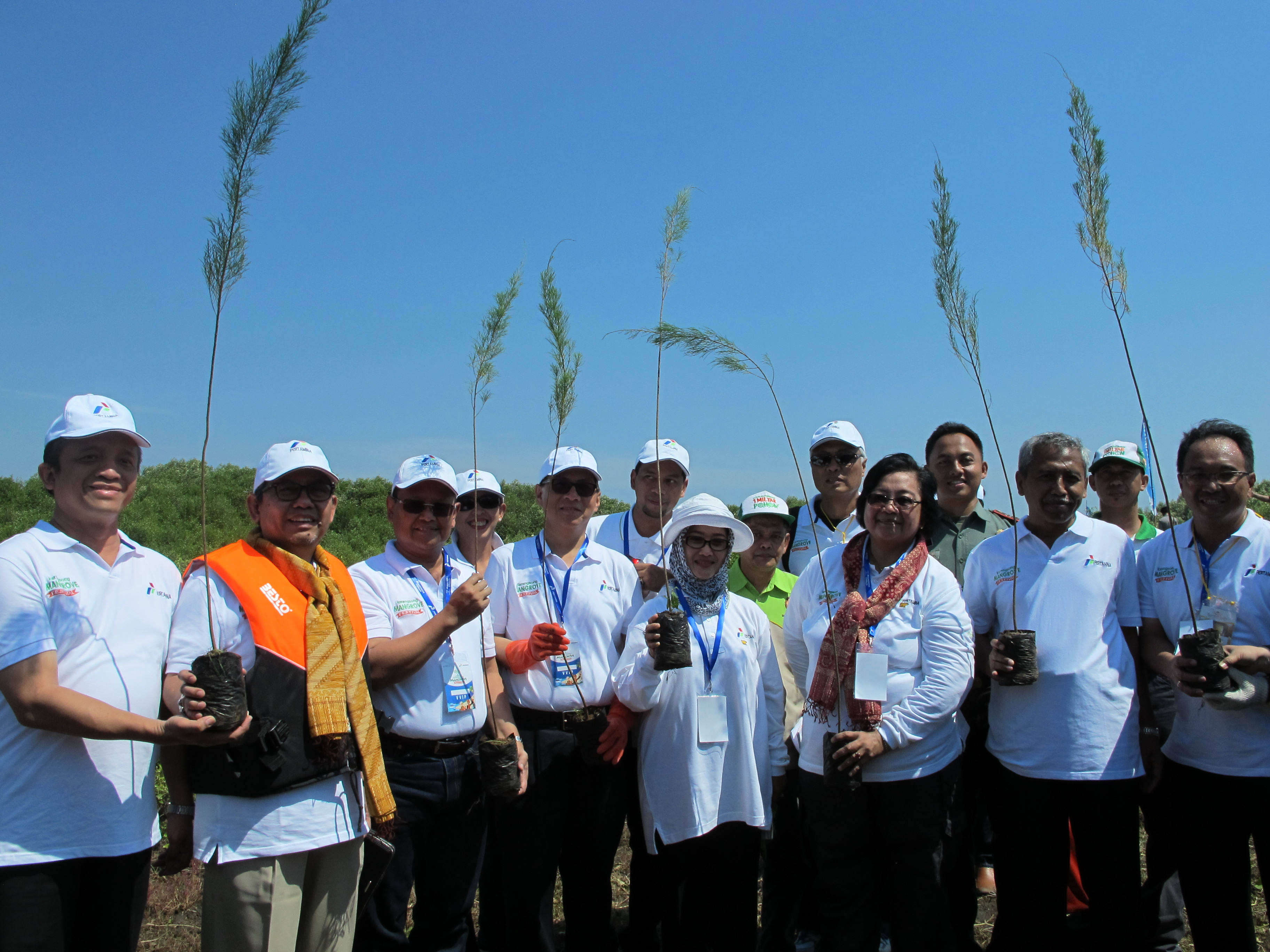 Keajaiban Alam Balongan - 3